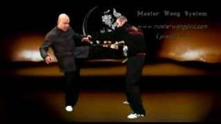 Wing Chun Training YouTube - With Master Wong EPS 12