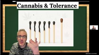 Tolerance Explained: Why Weed Stops Working