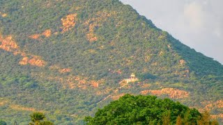 Sri Malai Parvathi Amman Temple | Vallanadu R.F ||  ஸ்ரீ மலை பார்வதி அம்மன் திருக்கோவில் | Tuticorin