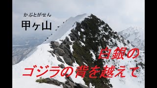 恐怖の白いナイフリッジと化したゴジラの背！　残雪期の甲ヶ山に挑戦！！