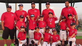 Usssa 8u Nit Tournament