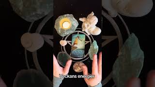 Veckans energier 🧚🙏💖🎉TAROT 💫