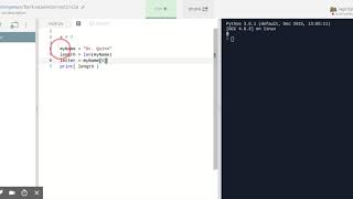 Video Lesson - Primitives vs. Objects in Python