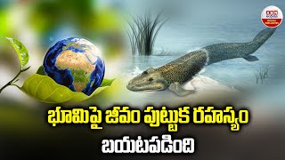 Origins of Life on Earth : ﻿భూమిపై జీవం పుట్టుక రహస్యం బయటపడింది | ABN Digital Exclusives