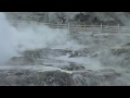 new zealand boiling mud and geyser rotorua new zealand