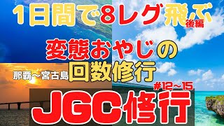 【JGC修行 回数修行】JAL回数修行　1日8フライト　沖縄宮古最大フライト数