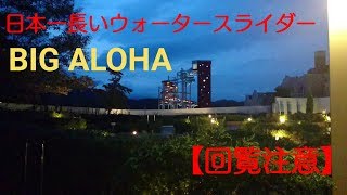 【BIG ALOHA】回覧注意！