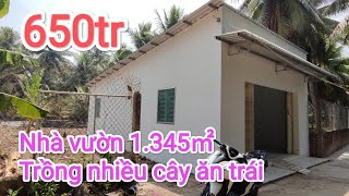 Tập 373🌸Nhà vườn 1345㎡ trồng nhiều cây ăn trái, giá 650tr