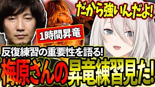 梅原さんの昇龍拳の練習を見て反復練習の重要性を語るししろん！【ホロライブ/獅白ぼたん/切り抜き】【ウメハラ, 梅原大吾】