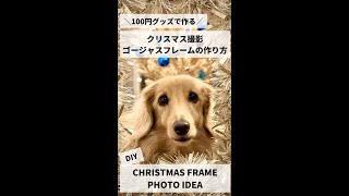 【DIY】200円でできる！撮影用クリスマス風ゴージャスフレームの作り方♪/ミニチュアダックスミッキー/犬撮影アイデア/ dog Christmas photo idea / #shorts