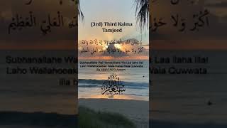 3rd kalma|kalima Tamjeed|words of praise |plant tree in paradise |Islamic short |youtube short