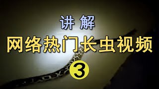 网络热门长虫视频 | 苏州天镜湖惊现巨型长虫？监控拍下这一幕惊呆网友【世界记忆大师龙雅】