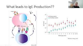 Overview of Hyper IgE