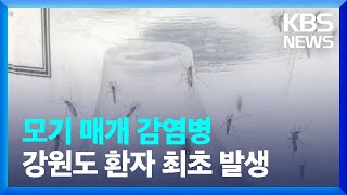 강원도, 모기 매개 감염병 ‘치쿤구니야열’ 환자 최초 발생 / KBS  2023.01.06.