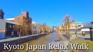 Kyoto Japan relax walk! /Along the river on a sunny day/March 3 2023