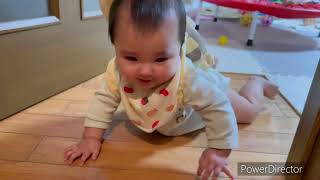 廊下をハイハイする赤ちゃん　すごく進む！　#shortsvideo #shorts #7ヶ月赤ちゃん #baby #赤ちゃんハイハイ