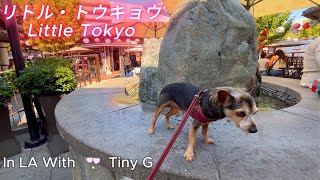 【2024】Little Tokyo with Tiny G‼️_BGM_アメリカ LAリラックス日記 #18