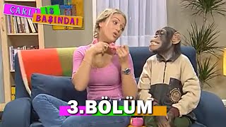 Çarli İş Başında 3. Bölüm - FULL BÖLÜM