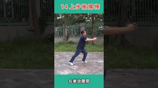 太極傳承方拳13-14式 Tai Chi Square Form 13-14 Styles