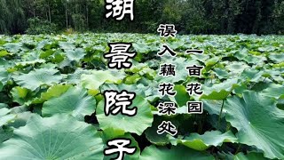 600平花园湖景别墅，院子里的景色是你做梦都不敢想的 #小院时光