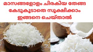 മാസങ്ങളോളം ചിരകിയ തേങ്ങ കേടുകൂടാതെ സൂക്ഷിക്കാൻ ഇങ്ങനെ ചെയ്താൽ മതി |Shredded coconut #creativehub