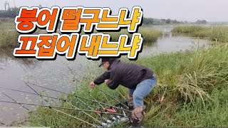 Fishing, 붕어 낚시, 휴식, 못 끄집어 내면 집에 못가!!! 잠은 자것냐!!!