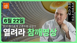 [길상사 템플라이프] 2024년 6월 22일 참깨명상 (마가스님)