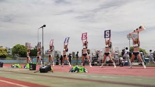 2023/05 Elecom Kobe Finies Cheerleaders