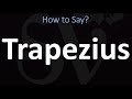 How to Pronounce Trapezius? (CORRECTLY)