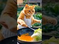 masak kubis #kucinglucuiimut #cat #cute #viralvideo