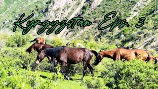 The Beauty of Issyk Kul & the History of Burana Tower | Kyrgyzstan EP 3 🇰🇬