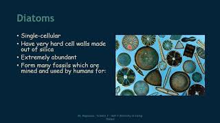 7.2.1 - Plant Like Protists