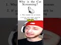 why is the cat screaming shorts short memes meme