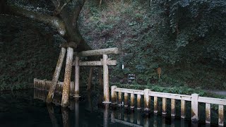 【茨城県】関東パワースポット名所鹿島神宮を参拝。神々しい光が差し込む境内を撮影したら作例が神がかった【Japan Cinematic Vlog】