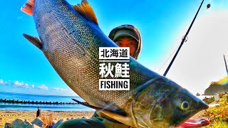 【Fishing】台風１４号の通過と、鮭の反応「日本海」