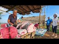 Special!! Beautiful Nature Village's Worth Fish Market in Amazing Sri Lanka