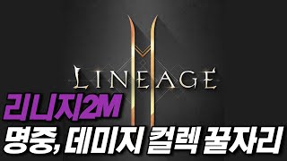 리니지2M 명중, 데미지 컬렉 꿀자리