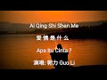 ai qing shi shen me 爱情是什么 apa itu cinta 演唱 郭力 guo li terjemahan bahasa indonesia