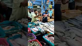 Chennai Famous Fish Market | சிந்தாதிரிபேட்டை மீன் சந்தை #kanyakumari to #chennai #foodblogger