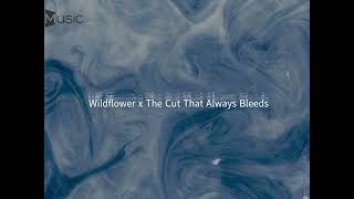 THE CUT THAT ALWAYS BLEEDS x WILDFLOWER ⅼⅼ conan gray x billie eilish (concept mashup)