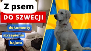 Z psem do Szwecji, niezbędne formalności; With a dog to Sweden, necessary formalities #vanlife