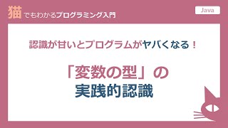 【Java プログラム】「変数の型」の実践的認識