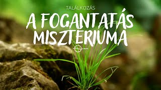 A FOGANTATÁS MISZTÉRIUMA - Találkozás