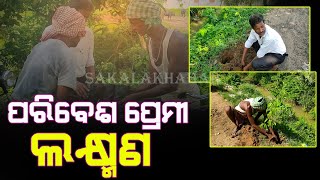 ନିଜ ଉଦ୍ୟମରେ ବୃକ୍ଷ ରୋପଣ କରୁଛନ୍ତି ଲକ୍ଷ୍ମଣ || sakala khabar ||