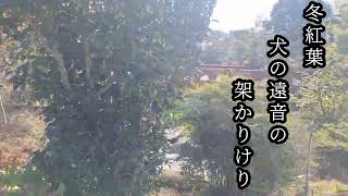 実作即吟　令和６年１１月２０日