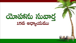 యోహాను సువార్త 15వ అధ్యాయము || మన తెలుగు బైబిల్