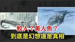 鮫人？美人魚？到底是幻想還是真相