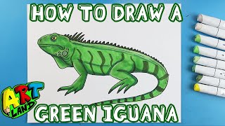 How to Draw a GREEN IGUANA