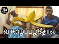 Vaalapala thol | Tika Bro | Tamil | Master