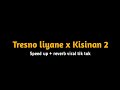 Tresno liyane x Kisinan 2- speed up+reverb viral tiktok